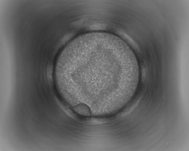 X0000111470490200908101117