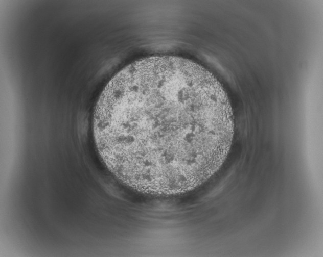 X0000111470495200908101117