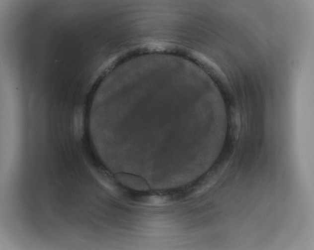 X0000111470496200908101117