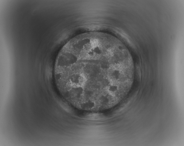 X0000111470499200908101117