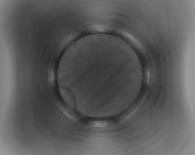 X0000111470500200908101117