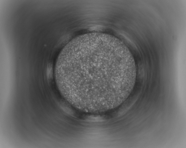 X0000111470502200908101117