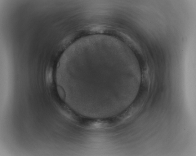 X0000111470504200908101117