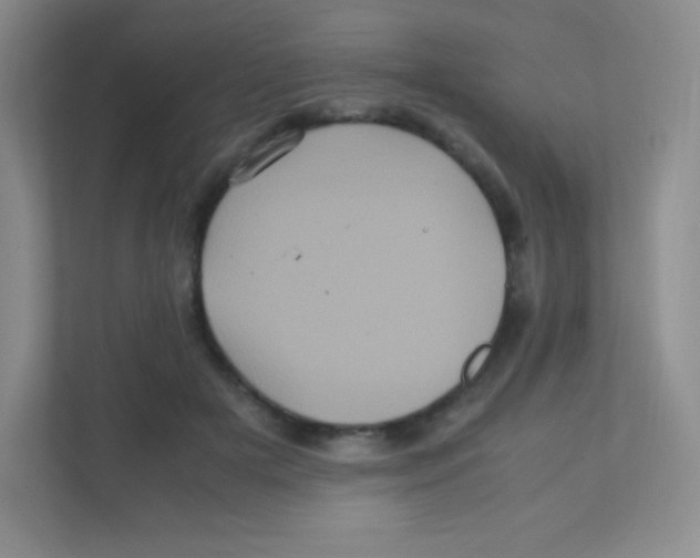 X0000111470505200908101117