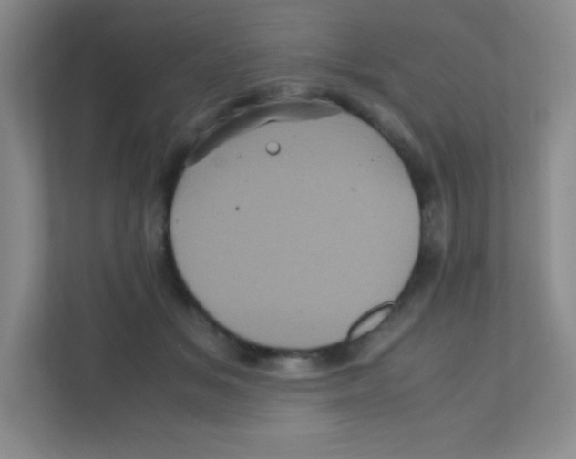 X0000111470509200908101117