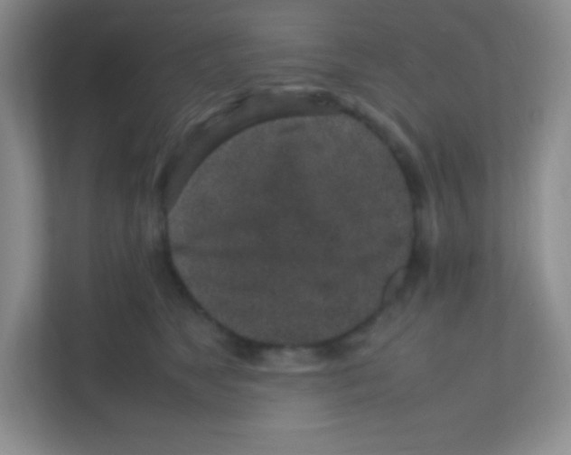 X0000111470517200908101117