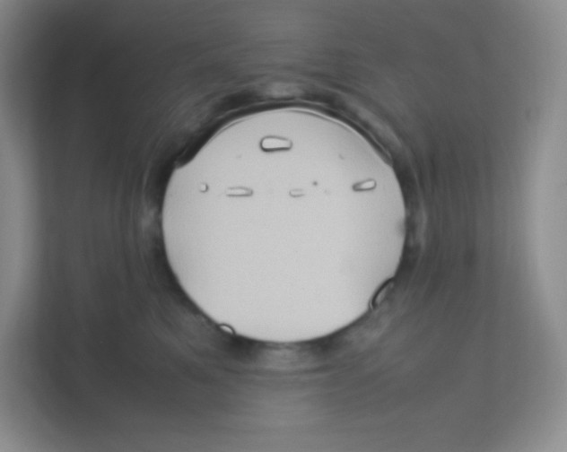 X0000111470521200908101117