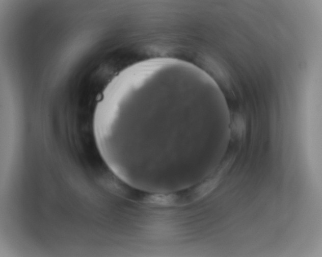 X0000111470526200908101117