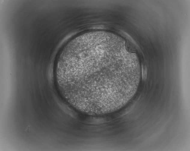 X0000111470531200908101116