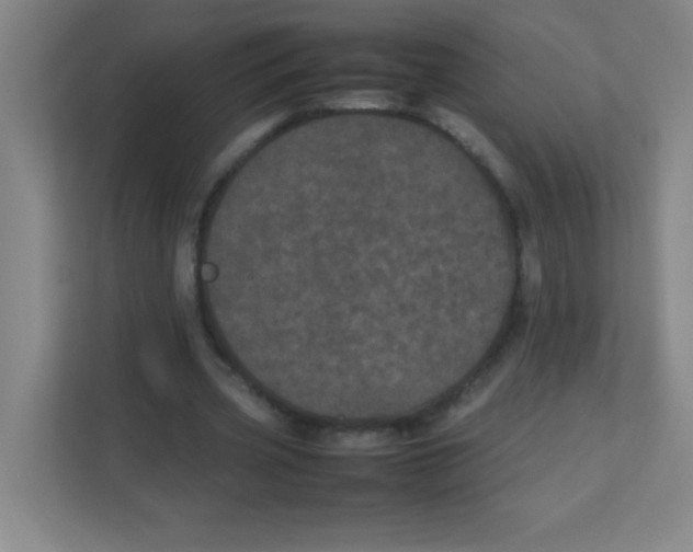 X0000111470533200908101116