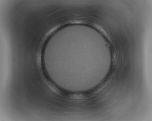 X0000111470535200908101116