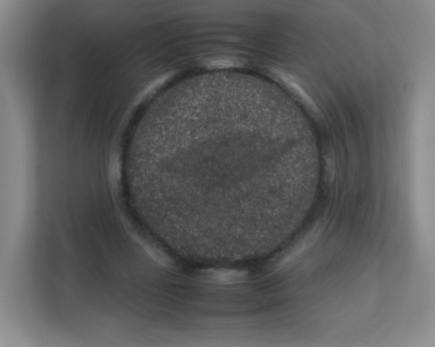 X0000111470539200908101116