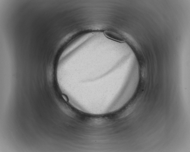 X0000111470540200908101116