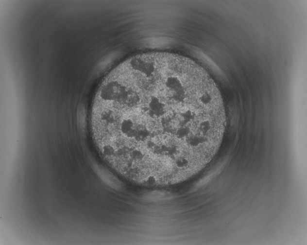 X0000111470542200908101116