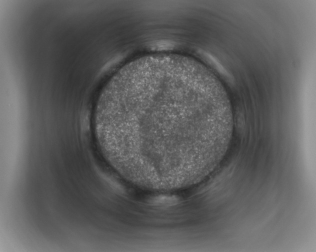 X0000111470543200908101117