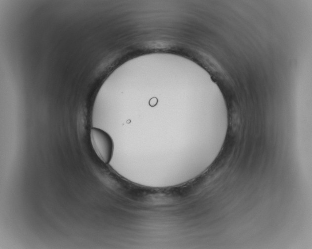 X0000111470544200908101117