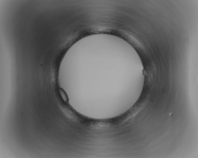 X0000111470546200908101117