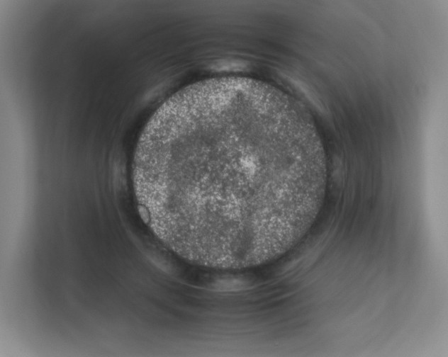 X0000111470547200908101117