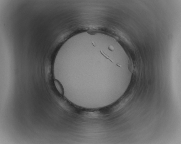 X0000111470548200908101117