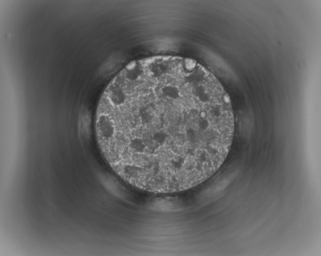 X0000111470550200908101117