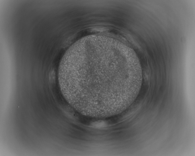 X0000111470551200908101117