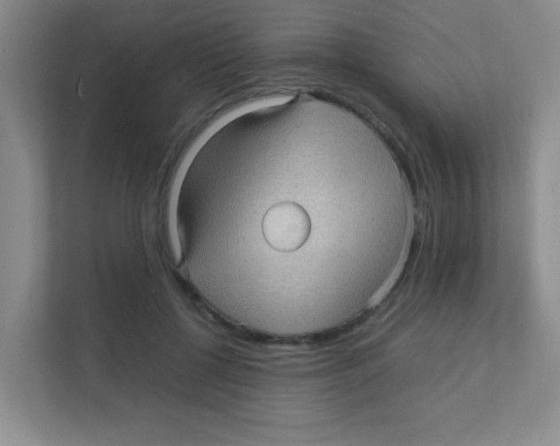 X0000111470552200908101117