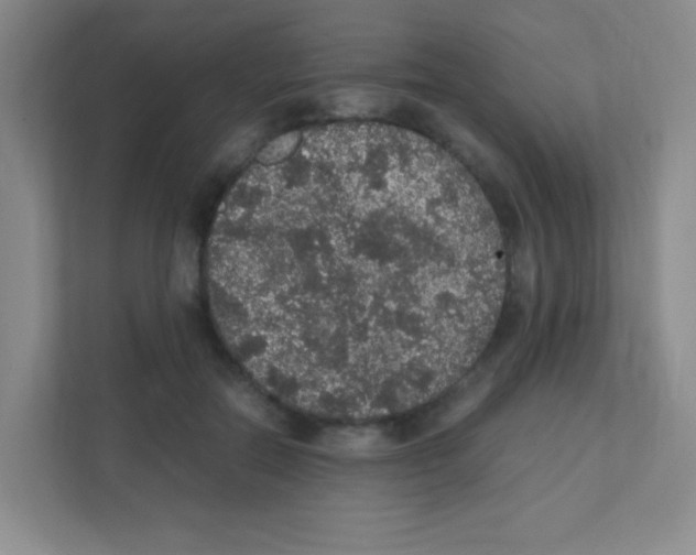 X0000111470554200908101117