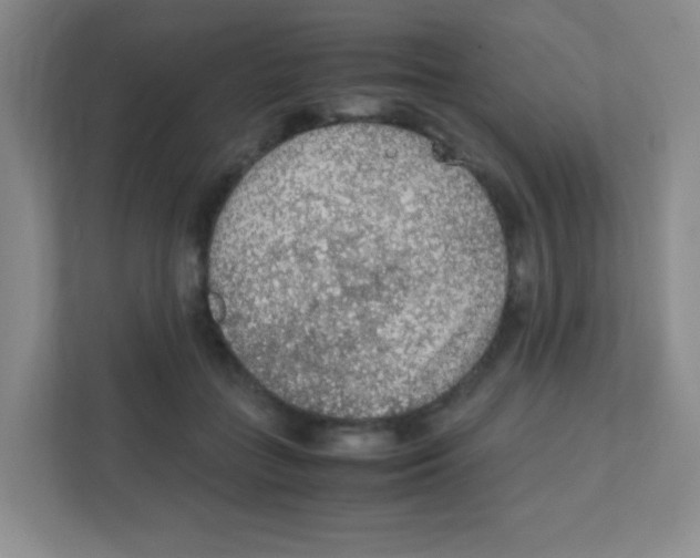 X0000111470555200908101117