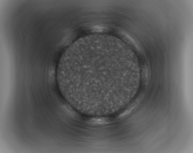 X0000111470557200908101117