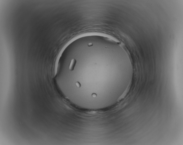 X0000111470558200908101117