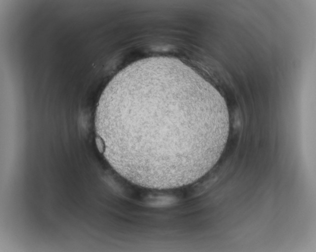 X0000111470559200908101117