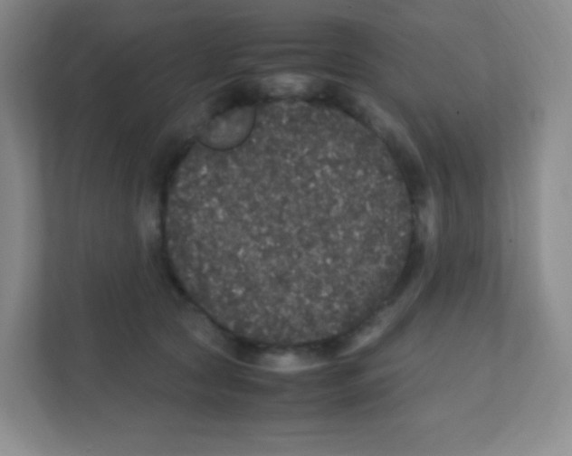 X0000111470561200908101117