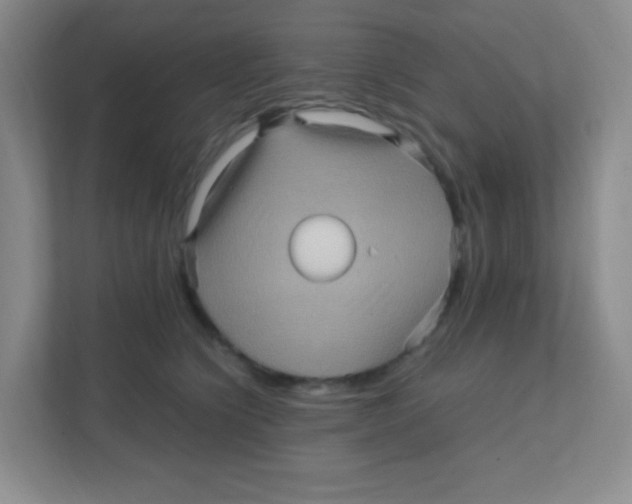 X0000111470564200908101117