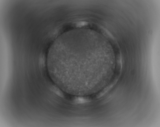 X0000111470565200908101117