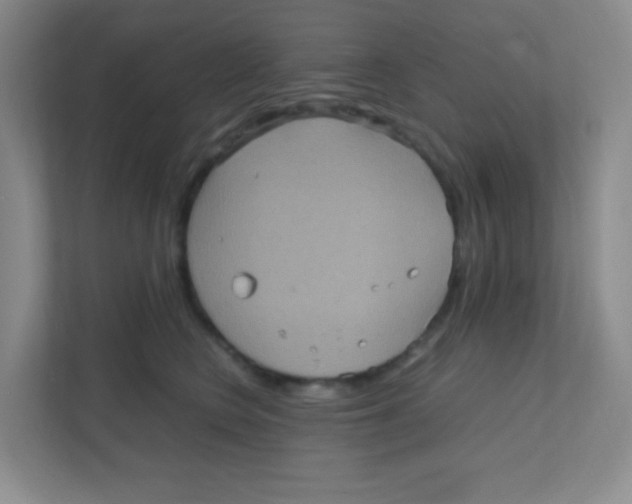 X0000111470566200908101117