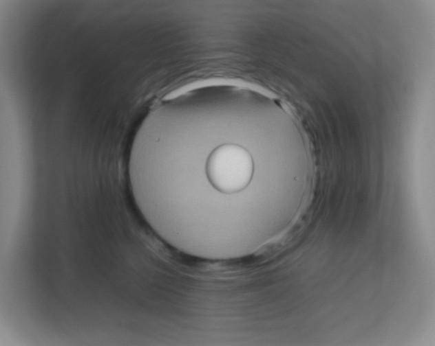 X0000111470568200908101117