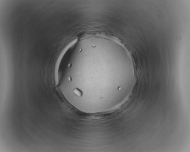 X0000111470570200908101117