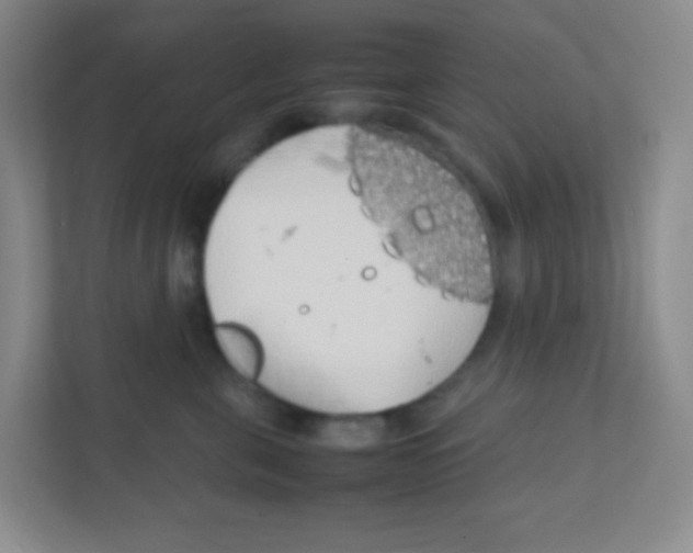 X0000111470571200908101117