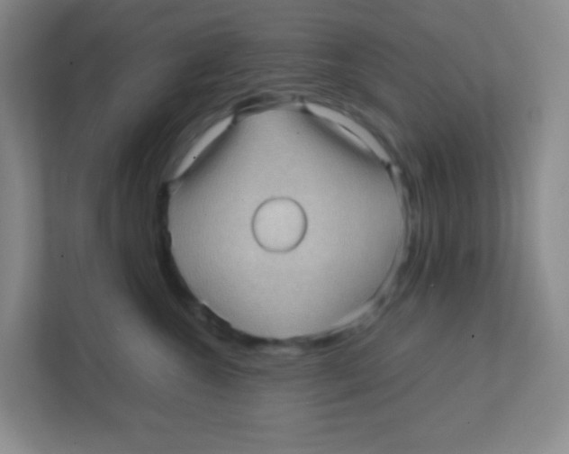 X0000111470572200908101117