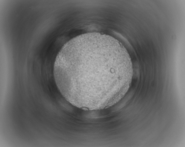 X0000111470573200908101117