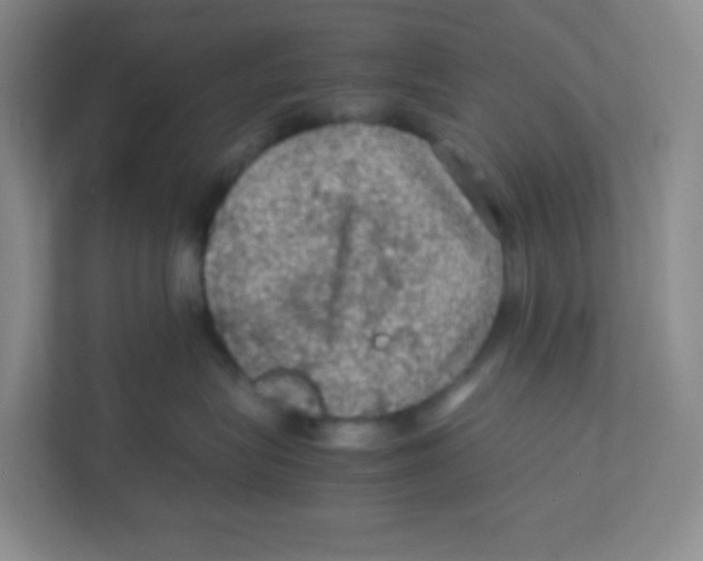 X0000111470575200908101117