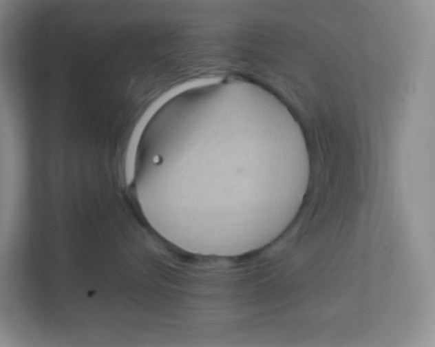 X0000111470576200908101117