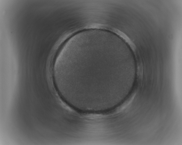 X0000111470577200908101116