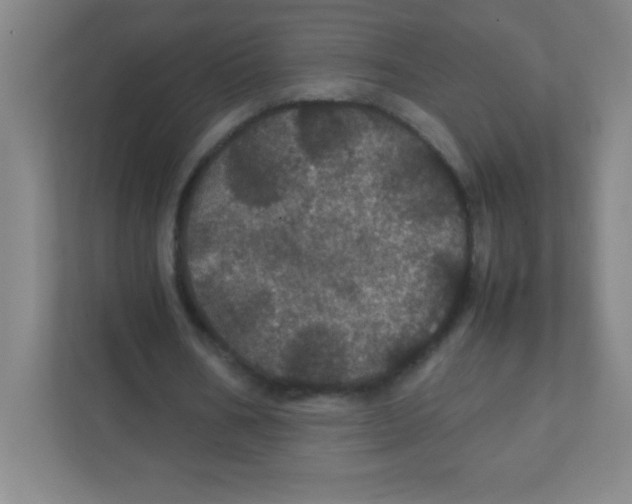 X0000111470578200908101116