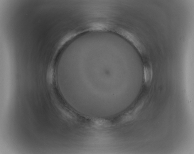 X0000111470579200908101116