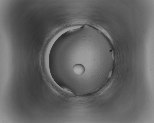 X0000111470581200908101116