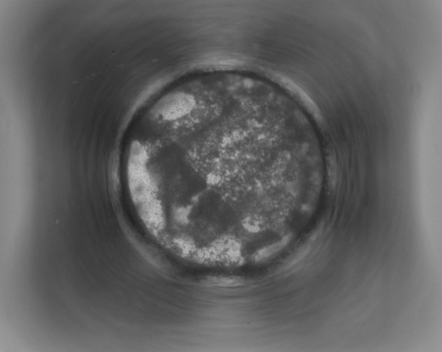 X0000111470582200908101116