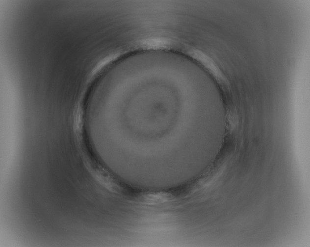 X0000111470583200908101116