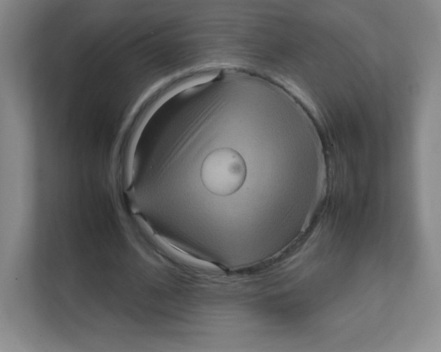 X0000111470584200908101116