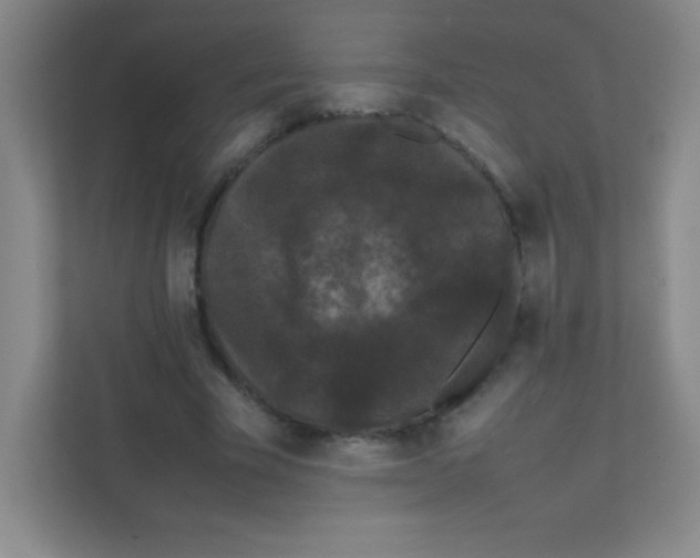 X0000111470585200908101116